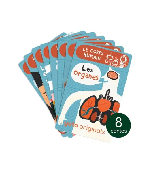 Cartes Explorobots le corps humain