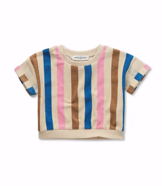 Tee-shirt rayures multi