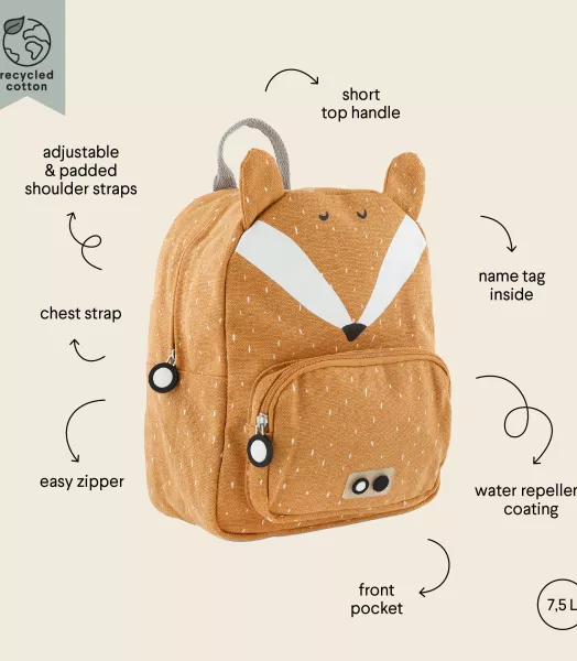 mr-fox3.webp
