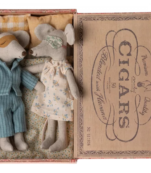 Maman et papa souris dans leur boîte à souris